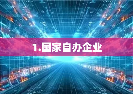 1.国家自办企业
