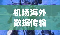 机场海外数据传输网络,连接未来世界的桥梁 机场海外数据传输网络,连接未来世界的桥梁