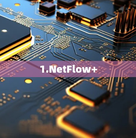 1.NetFlow+