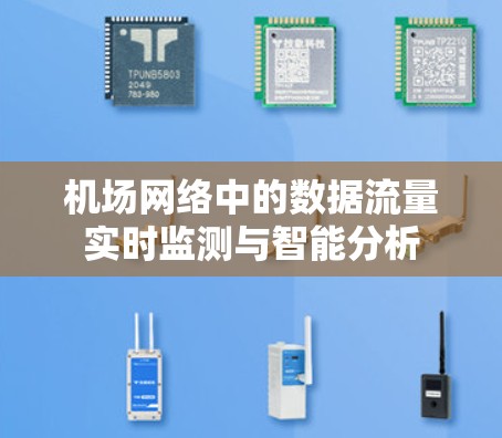 机场网络中的数据流量实时监测与智能分析