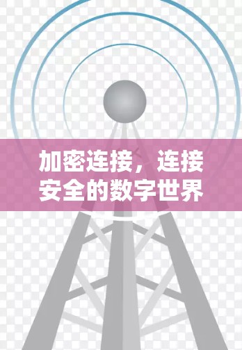 加密连接,连接安全的数字世界 加密连接,连接安全的数字世界