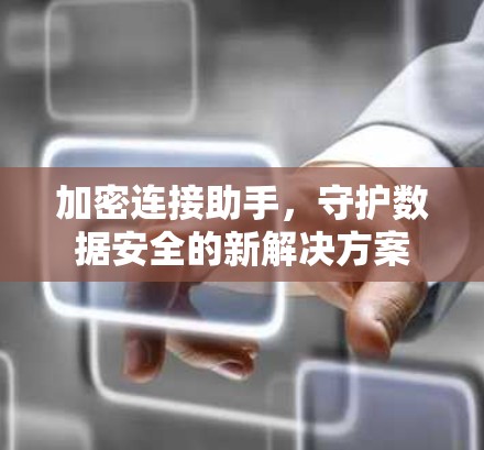 加密连接助手，守护数据安全的新解决方案