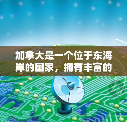 加拿大是一个位于东海岸的国家,拥有丰富的网络服务和VPN选项。然而,使用加拿大VPN服务时,可能会受到一些限制。以下是一些常见的限制情况 加拿大是一个位于东海岸的国家,拥有丰富的网络服务和VPN选项。然而,使用加拿大VPN服务时,可能会受到一些限制。以下是一些常见的限制情况