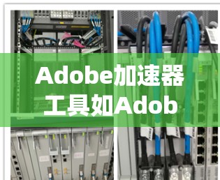 Adobe加速器工具如Adobe Antivirus、Adobe Antisense等在Mac平台上运行，提供了多种安全检测和过滤功能，帮助用户保护系统和数据。以下是对这些工具的详细分析