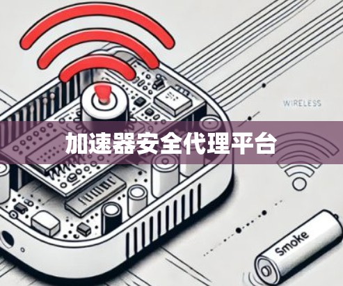 加速器安全代理平台