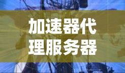 加速器代理服务器资源 加速器代理服务器资源