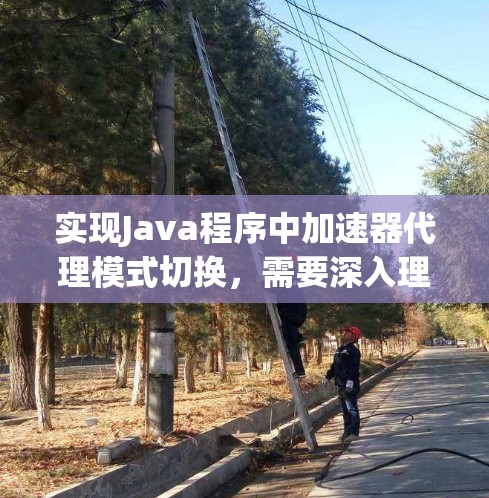 实现Java程序中加速器代理模式切换，需要深入理解加速器代理的结构和功能，熟练掌握相关接口，并在代码中正确实现切换策略。以下是一步步的指南