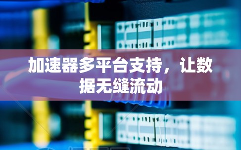 加速器多平台支持,让数据无缝流动