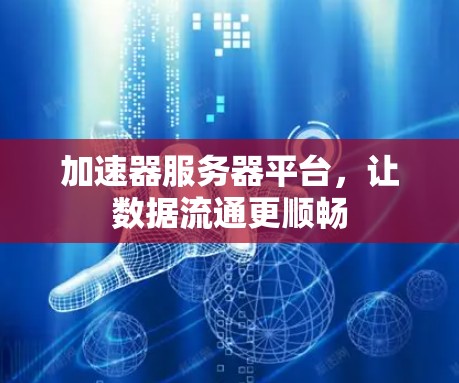 加速器服务器平台,让数据流通更顺畅