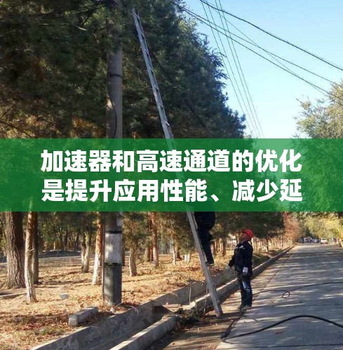 加速器和高速通道的优化是提升应用性能、减少延迟和提高用户体验的重要方面。以下是一些优化加速器和高速通道的方法和建议