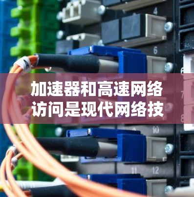 加速器和高速网络访问是现代网络技术中的重要工具，它们在处理高流量数据时发挥着关键作用。以下是对这两个技术的详细分析
