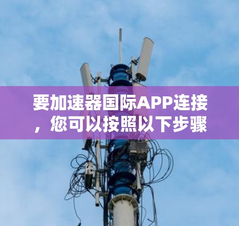 要加速器国际APP连接,您可以按照以下步骤操作