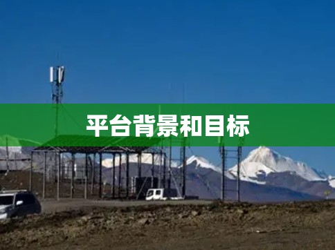 平台背景和目标