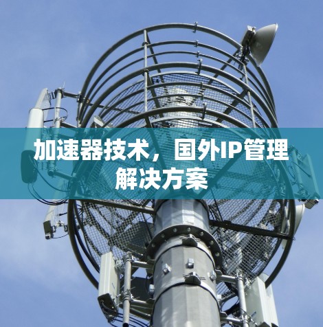 加速器技术，国外IP管理解决方案