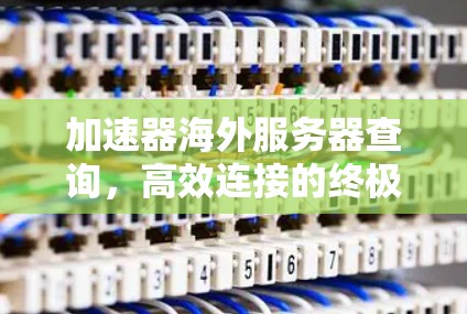 加速器海外服务器查询,高效连接的终极解决方案