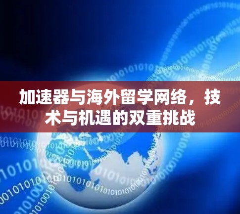 加速器与海外留学网络,技术与机遇的双重挑战