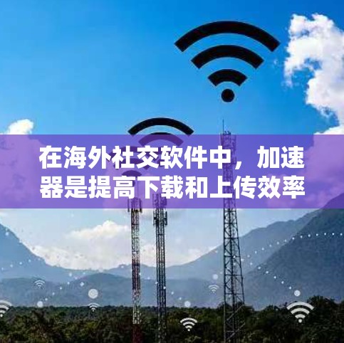 在海外社交软件中,加速器是提高下载和上传效率的重要工具。以下是使用加速器的具体步骤和注意事项