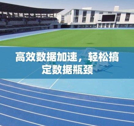 高效数据加速,轻松搞定数据瓶颈