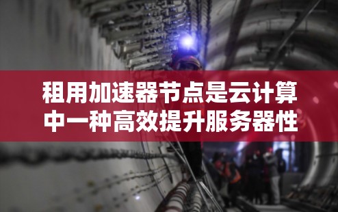 租用加速器节点是云计算中一种高效提升服务器性能的技术，通过加速服务器硬件来加快响应速度和处理能力。以下是对加速器节点租用服务的详细分析和解决方案