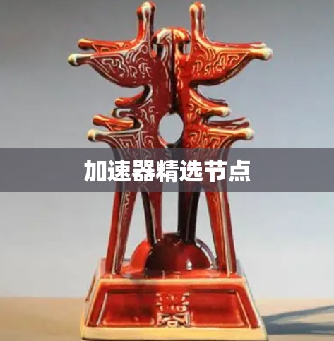 加速器精选节点