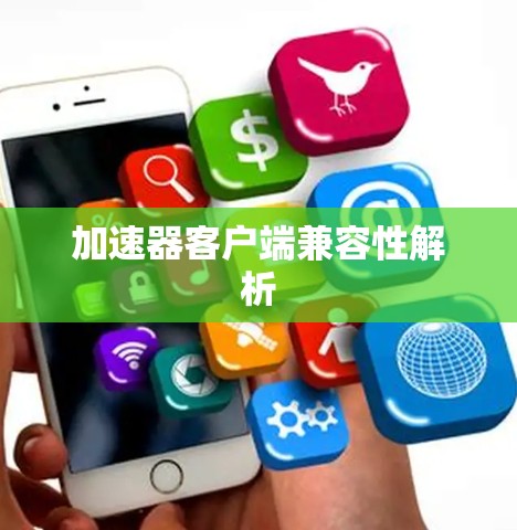 加速器客户端兼容性解析