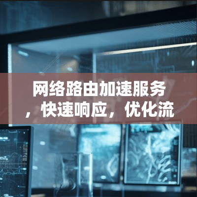 网络路由加速服务，快速响应，优化流量