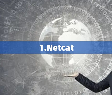 1.Netcat