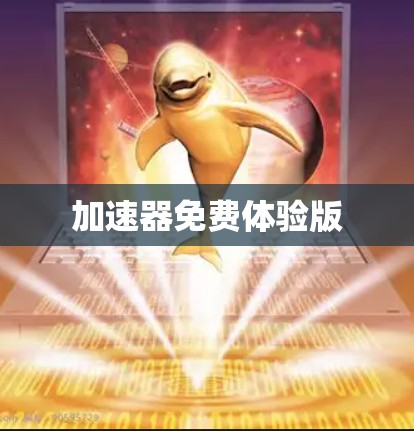 加速器免费体验版