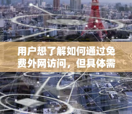 用户想了解如何通过免费外网访问，但具体需求不明确。以下是分步指南