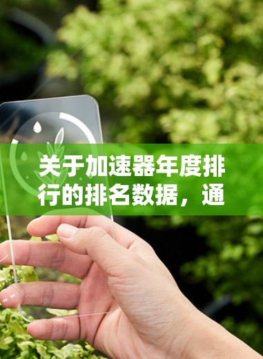 关于加速器年度排行的排名数据,通常会根据不同的因素进行评估和排序。以下是一些常见的排名标准和可能的排名趋势