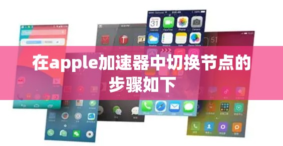 在apple加速器中切换节点的步骤如下